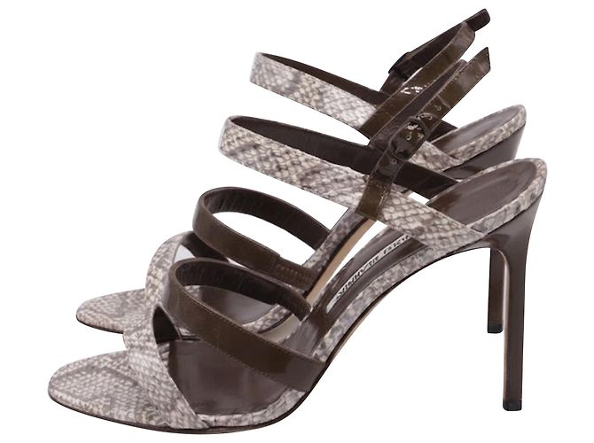 Sandali con listini Manolo Blahnik Villano in pelle di serpente marrone - vista 5