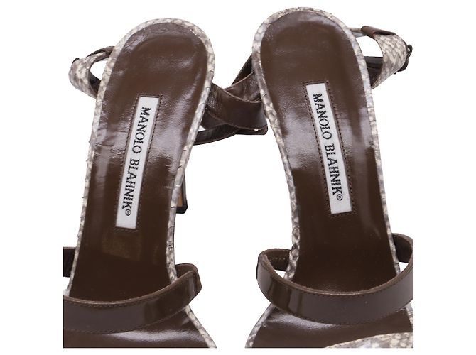 Sandali con listini Manolo Blahnik Villano in pelle di serpente marrone - vista 6