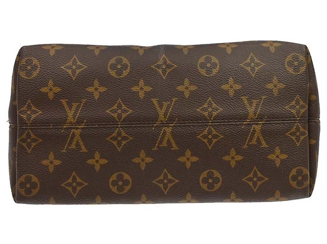 Louis Vuitton Iena Tote Monogram Canvas PM Marrone - vista 6
