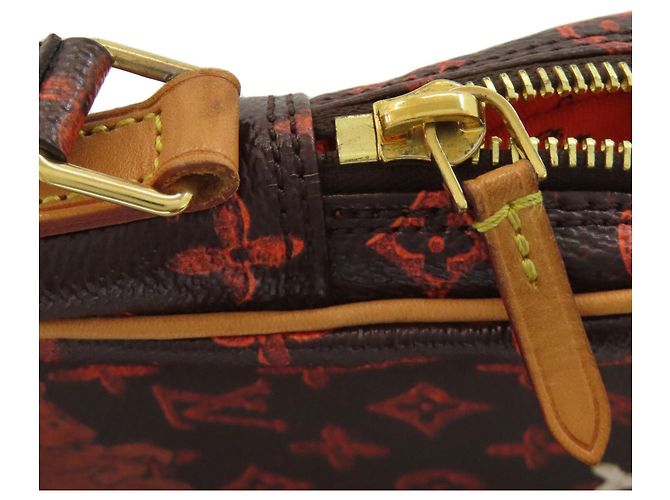 Louis Vuitton Monogram Panam Set Catgram Borsa a Spalla Monogramma - vista 12