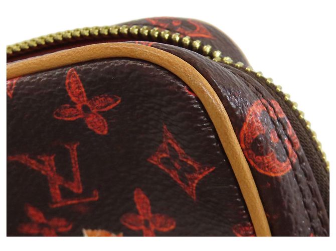 Louis Vuitton Monogram Panam Set Catgram Borsa a Spalla Monogramma - vista 14