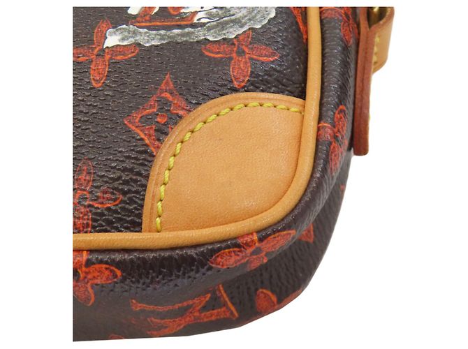 Louis Vuitton Monogram Panam Set Catgram Borsa a Spalla Monogramma - vista 22