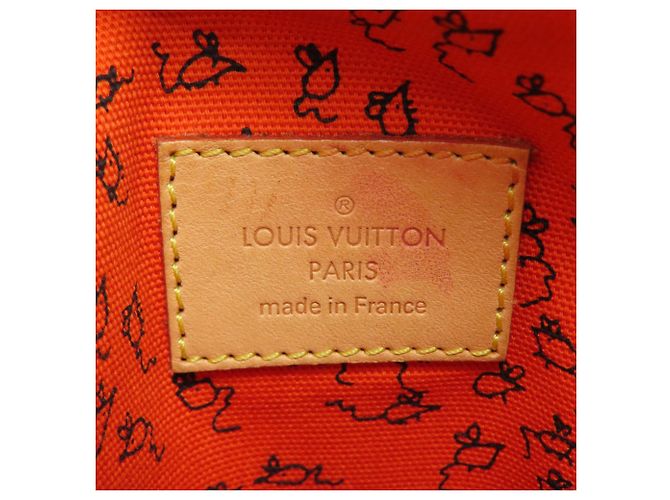 Louis Vuitton Monogram Panam Set Catgram Borsa a Spalla Monogramma - vista 6