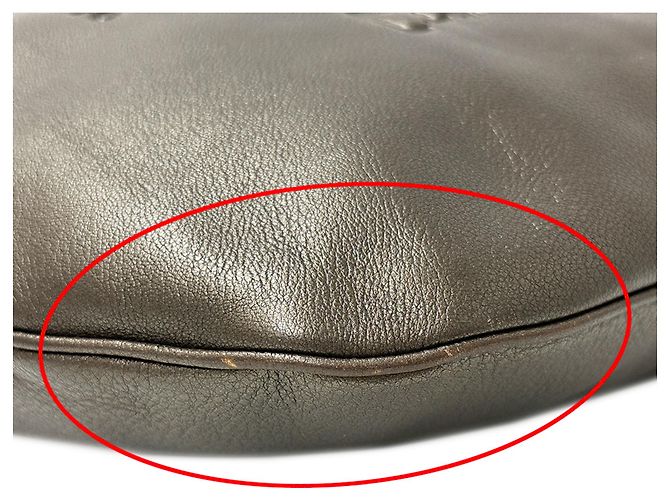 Borsa a mano Loewe marrone metallizzata Metallico - vista 10