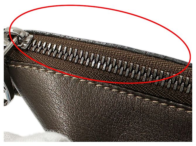 Borsa a mano Loewe marrone metallizzata Metallico - vista 11