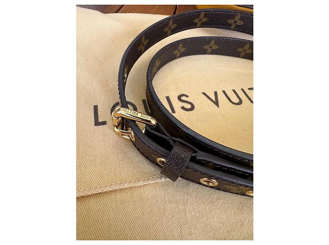 Borsa Louis Vuitton Eden PM Monogram Marrone Monogramma - vista 16