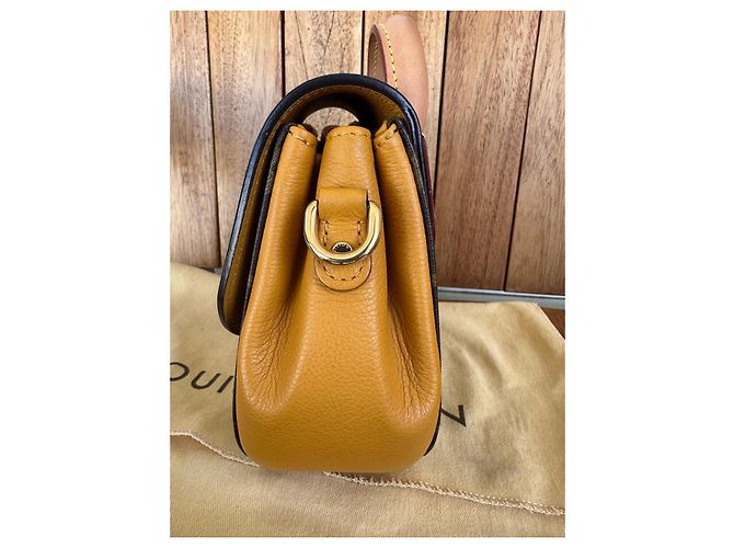 Borsa Louis Vuitton Eden PM Monogram Marrone Monogramma - vista 6