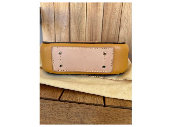 Borsa Louis Vuitton Eden PM Monogram Marrone Monogramma - vista 8