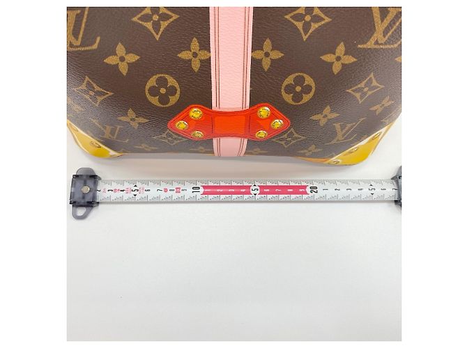 Néonoé Borsa a tracolla Louis Vuitton NeoNoe Summer Trunk Collection Marrone - vista 4