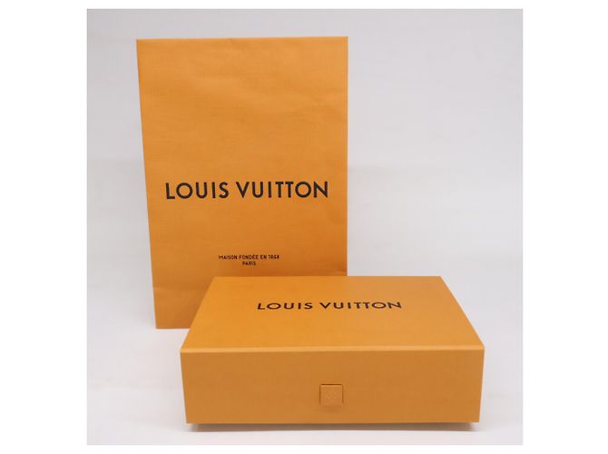 Louis Vuitton Reykjavik Cashmere Stole/Scarf Beige - view 6