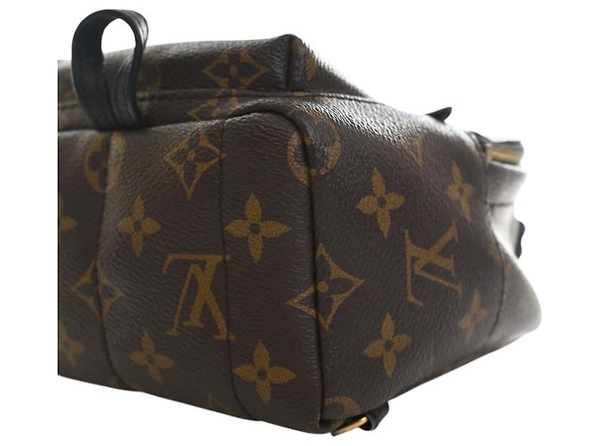 Louis Vuitton Marrone Monogram Mini Palm Springs - vista 10