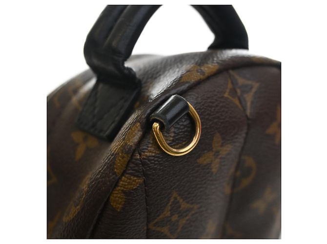 Louis Vuitton Marrone Monogram Mini Palm Springs - vista 11