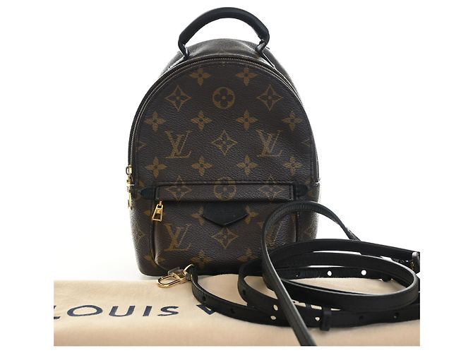 Louis Vuitton Marrone Monogram Mini Palm Springs - vista 13