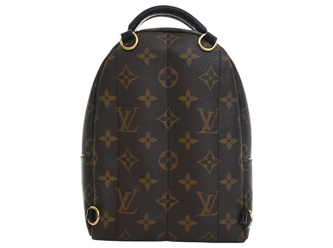 Louis Vuitton Marrone Monogram Mini Palm Springs - vista 2
