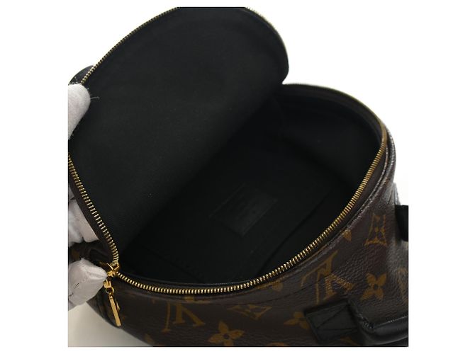 Louis Vuitton Marrone Monogram Mini Palm Springs - vista 4
