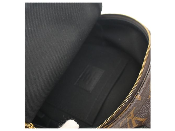 Louis Vuitton Marrone Monogram Mini Palm Springs - vista 5
