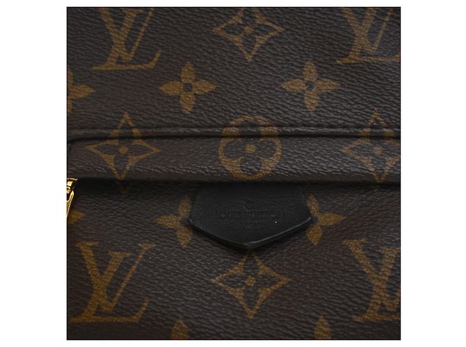 Louis Vuitton Marrone Monogram Mini Palm Springs - vista 6