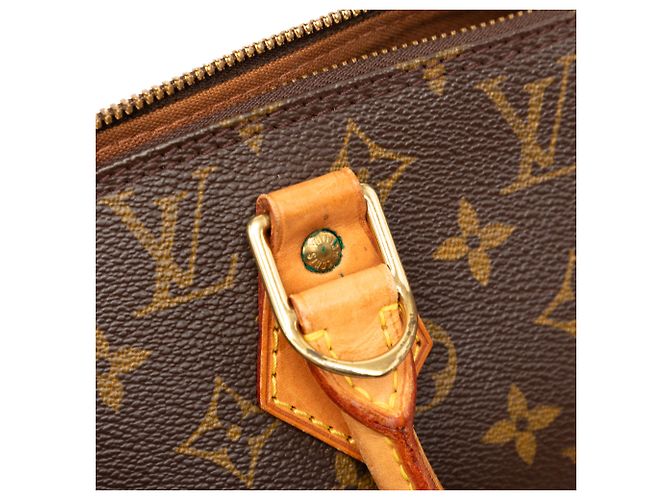 Louis Vuitton Marrone Monogram Alma PM - vista 7