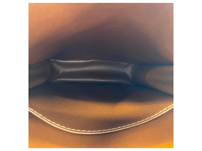Borsa a Spalla Louis Vuitton Amazon Marrone Blu - vista 13