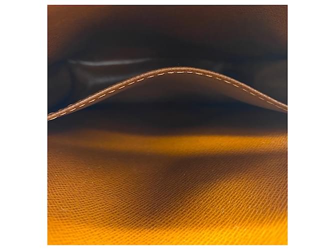 Borsa a Spalla Louis Vuitton Amazon Marrone Blu - vista 14