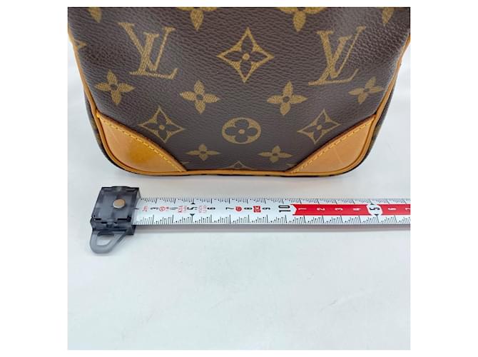 Borsa a Spalla Louis Vuitton Amazon Marrone Blu - vista 4
