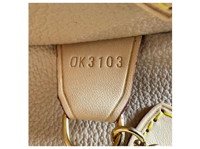 Borsa Bucket Louis Vuitton Monogram PM Marrone Monogramma - vista 13