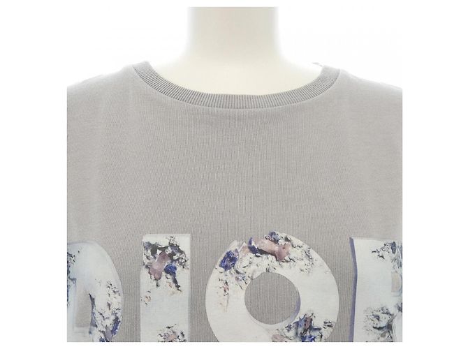 T-shirt Dior DANIEL ARSHAM Marrone - vista 5