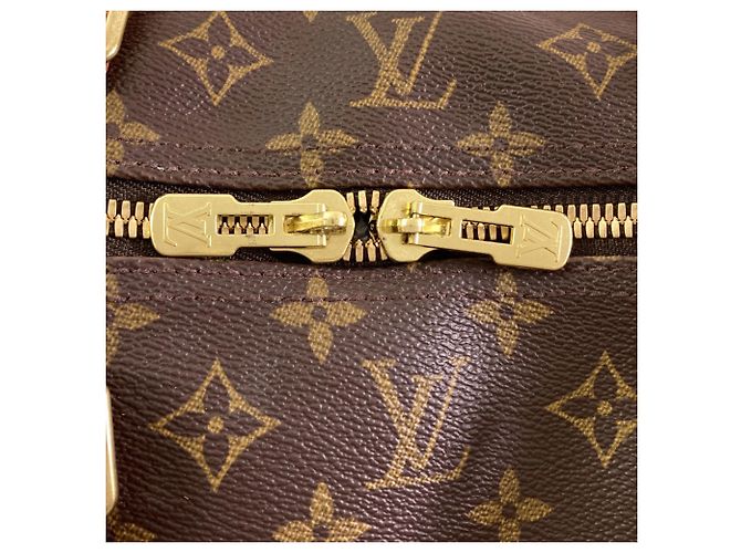 Borsa Boston Louis Vuitton Monogram Keepall 60 Monogramma - vista 14