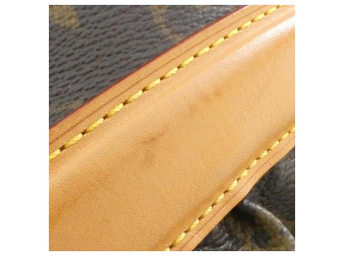 Borsa a Spalla Louis Vuitton Monogram Clara Marrone - vista 3