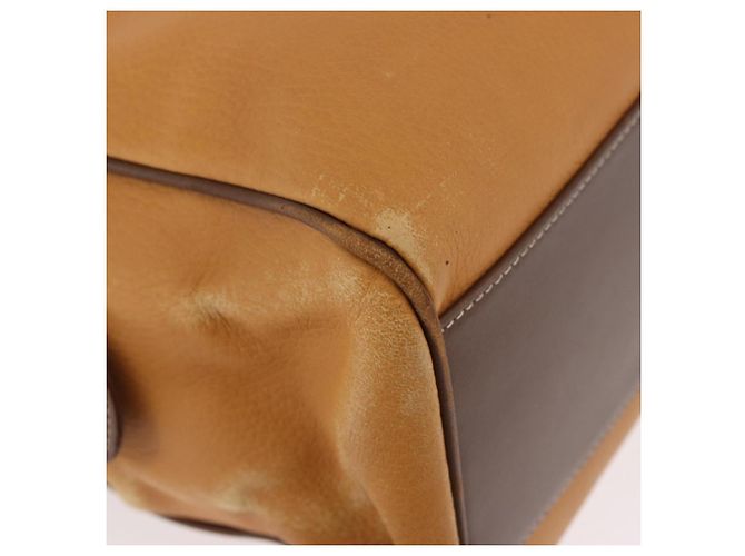 Borsa LOEWE Anagram in Pelle Giallo Oro Auth 188471A D'oro - vista 10