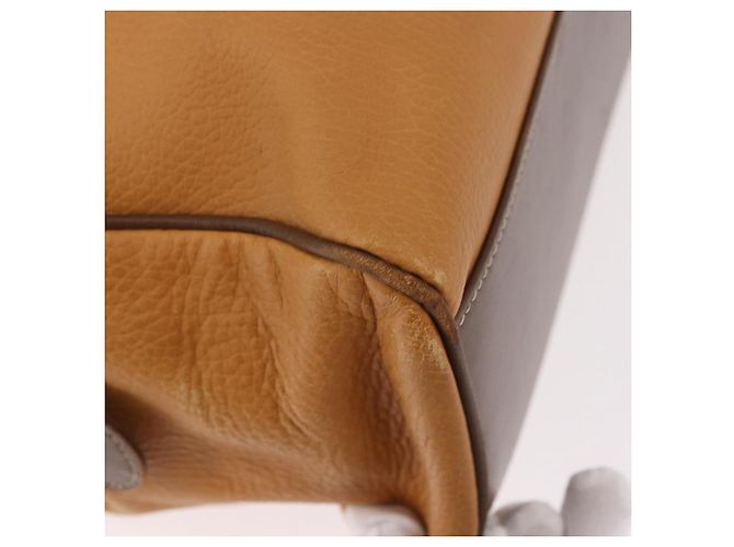 Borsa LOEWE Anagram in Pelle Giallo Oro Auth 188471A D'oro - vista 16