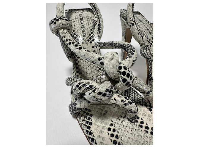 Knot Bottega Veneta Jimbo Sandale Python Print Weiß Größe 37.5 (Full set) Neu/Original Beige - Ansicht 7