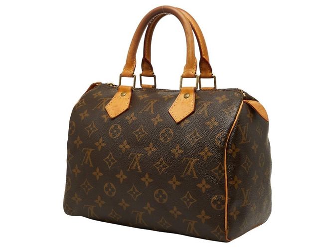 Louis Vuitton Monogram Speedy 25 Mini Boston Bag Marrone - vista 2