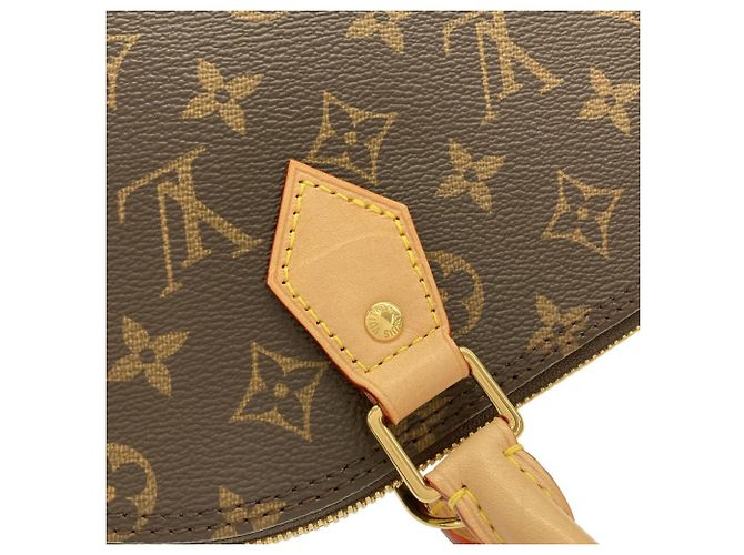 Borsa Louis Vuitton Monogram Alma PM Marrone - vista 7