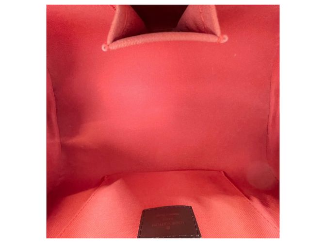 Borsa Louis Vuitton Rivera MM Marrone - vista 13