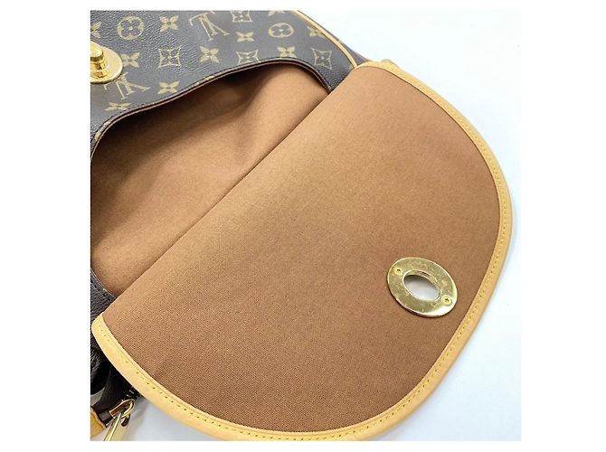 Borsa a Spalla Louis Vuitton Tulum PM Marrone - vista 15