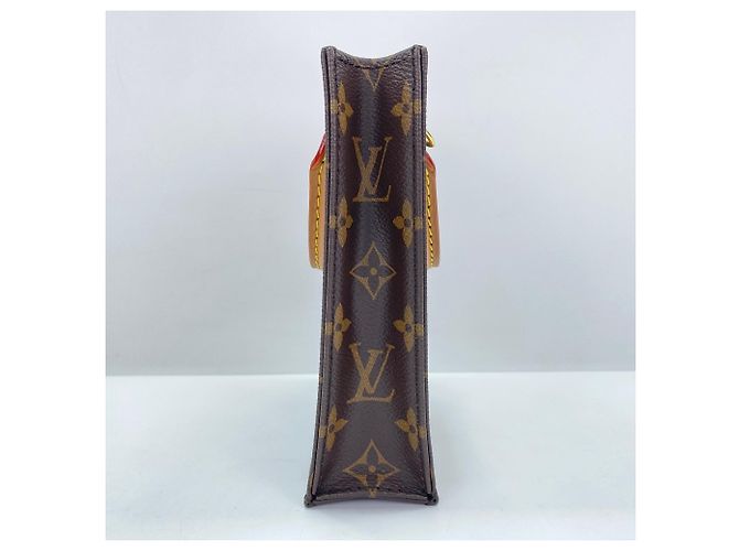 Borsa a Spalla Louis Vuitton Petite Sac Plamini Marrone - vista 5