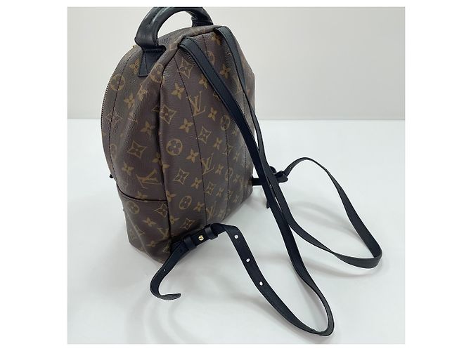 Zaino Louis Vuitton Palm Springs PM Marrone - vista 10