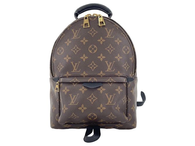 Zaino Louis Vuitton Palm Springs PM Marrone - vista 2