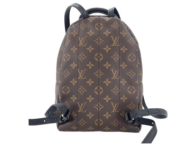 Zaino Louis Vuitton Palm Springs PM Marrone - vista 3