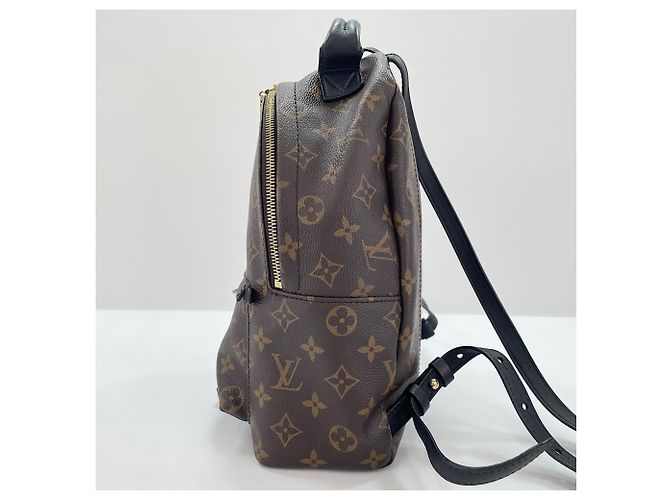 Zaino Louis Vuitton Palm Springs PM Marrone - vista 5