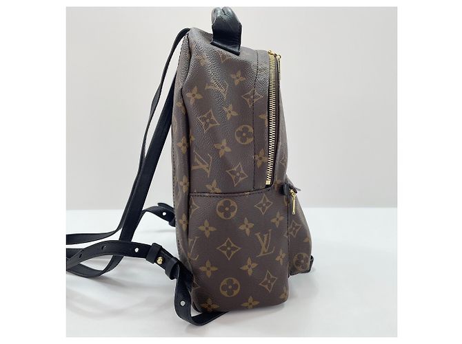 Zaino Louis Vuitton Palm Springs PM Marrone - vista 6