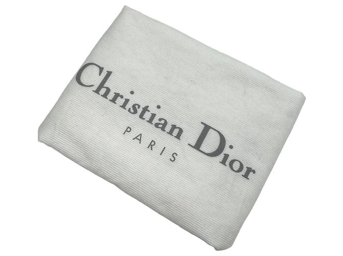 Borsa a Spalla Christian Dior Trotter Blu - vista 15