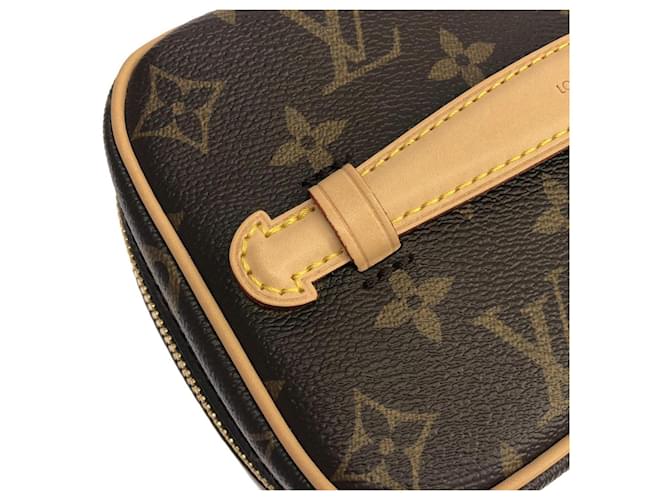 Borsa Louis Vuitton Monogram Nice Mini Marrone - vista 5