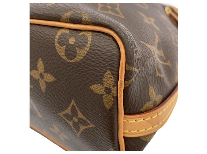 Noe Borsa a Spalla Louis Vuitton Monogram Nano Noé Marrone - vista 3