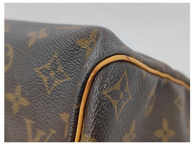 Louis Vuitton Speedy Monogram Canvas 40 Marrone - vista 7