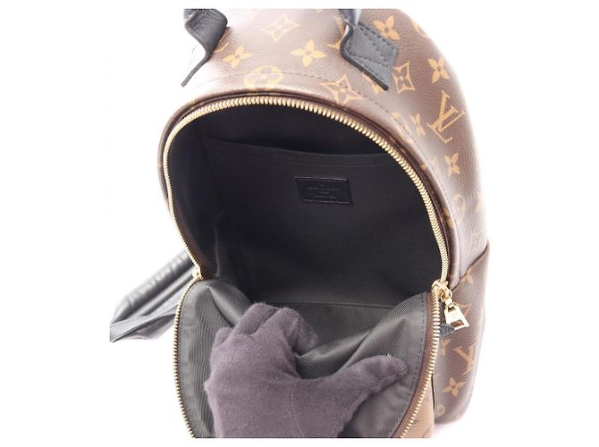 Zaino Louis Vuitton Palm Springs PM Marrone Beige - vista 3