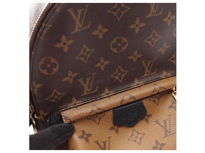 Zaino Louis Vuitton Palm Springs PM Marrone Beige - vista 8