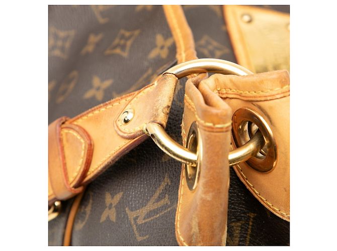 Borsa a Spalla Louis Vuitton Monogram Galliera PM Marrone - vista 4