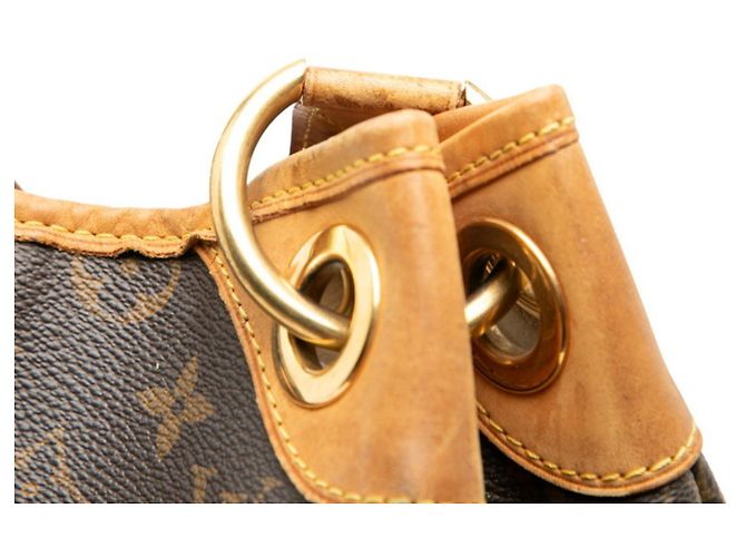 Borsa a Spalla Louis Vuitton Monogram Galliera PM Marrone - vista 5